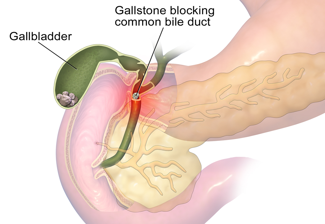 Hepatobiliary Surgery